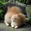 用户信息猎手的头像，热衷信息搜集的网络用户形象